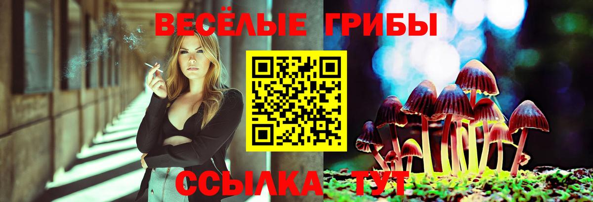 как найти   Галлюциногенные грибы мухоморы  Вход с VPN  Елабуга 